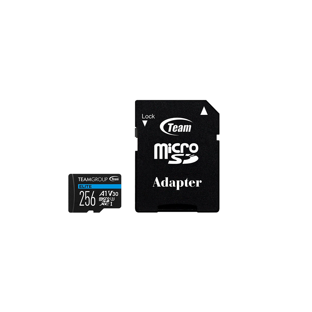 1P7TMG-TEAUSDX256GIV30A103